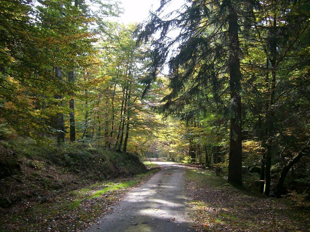 Chalet Du Montal Dun-les-Places Cameră foto